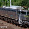 預訂 TOMIX HO-2029 16番(HO) JR EF81-300形 電気機関車(2次形)